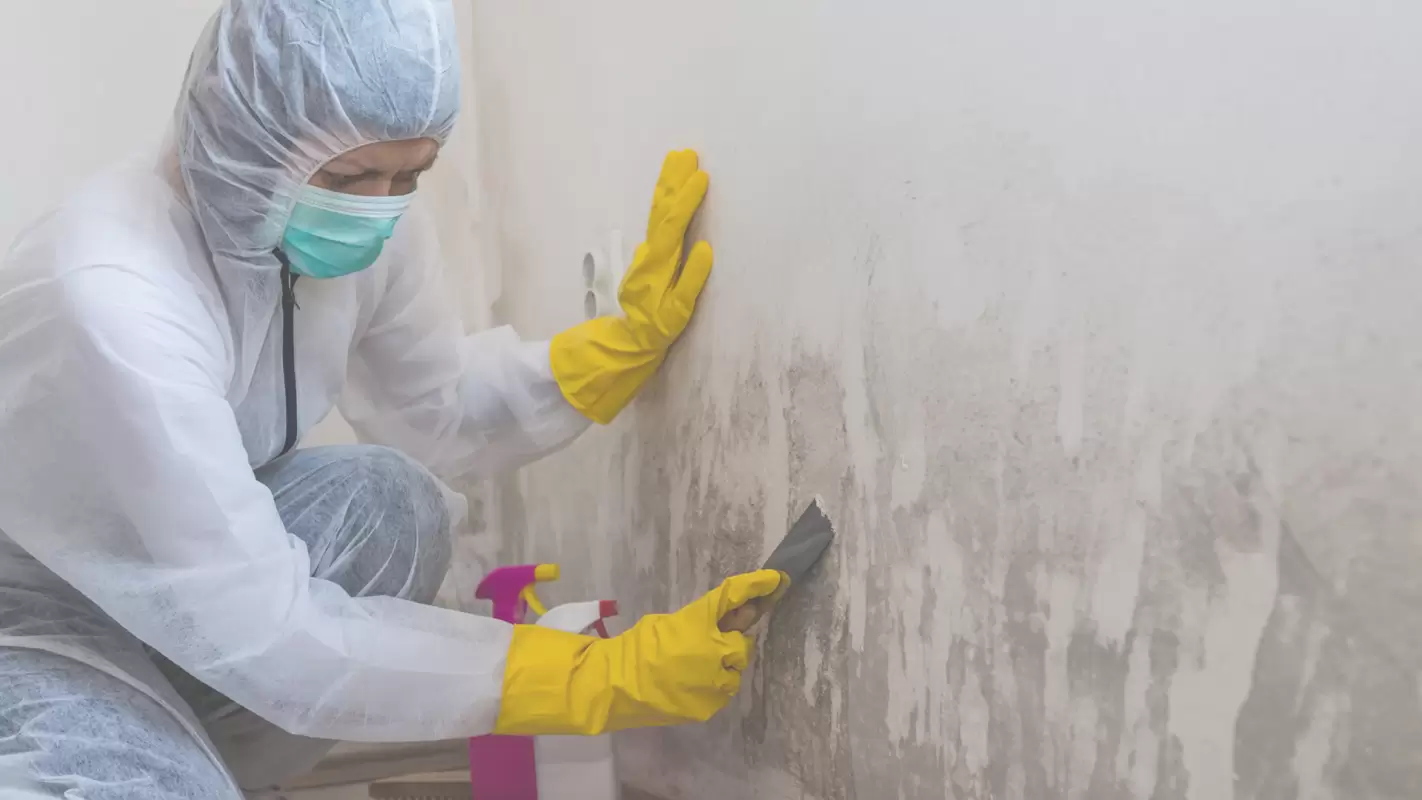 Enjoy the Mold Free Air with Our Mold Restoration Services in Fort Worth, TX